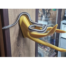 3D Printed Reptile Climbing Branch, Terrarium Decor, Corn King Milk Rat Snake, for Vivarium